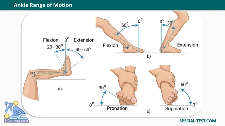 Ankle Range of Motion