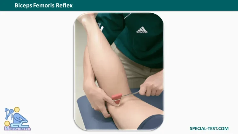 Biceps Femoris Reflex