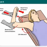 Biceps Load Test II