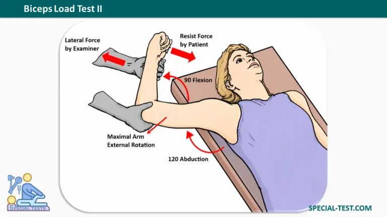 Biceps Load Test II