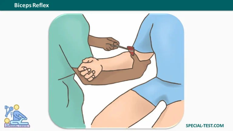 Biceps Reflex
