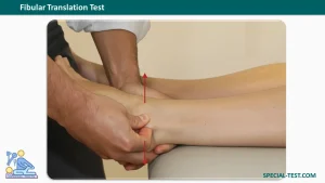 Fibular Translation Test