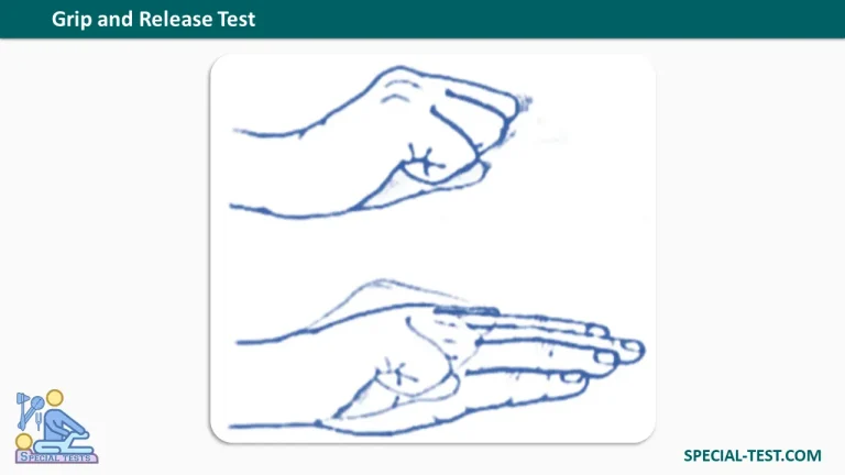 Grip and Release Test