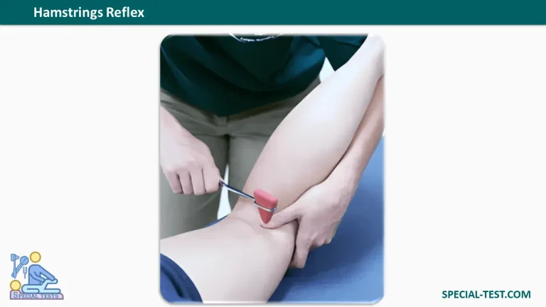 Hamstrings Reflex