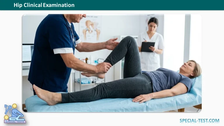 Hip Examination