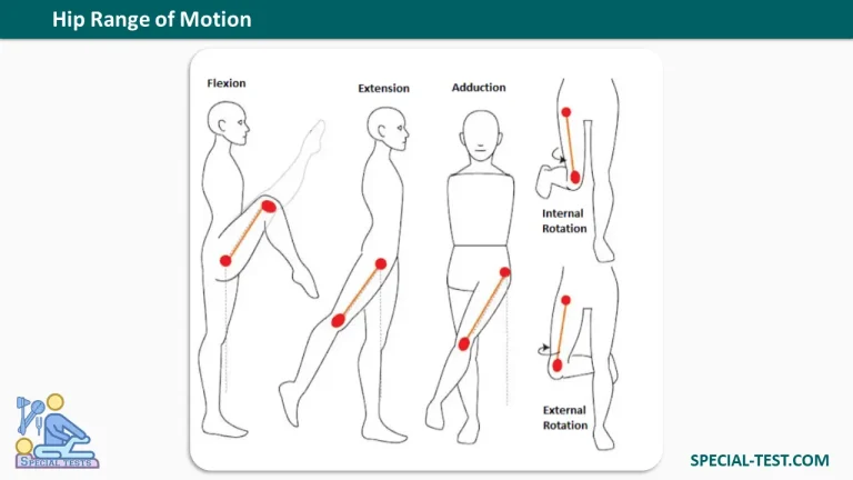 Hip Range of Motion