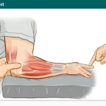 Maudsleys Test