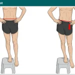 Pelvic Drop Test