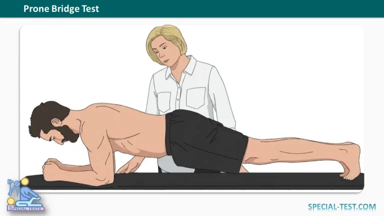 Prone Bridge Test