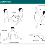Range of motion testing for shoulder joint