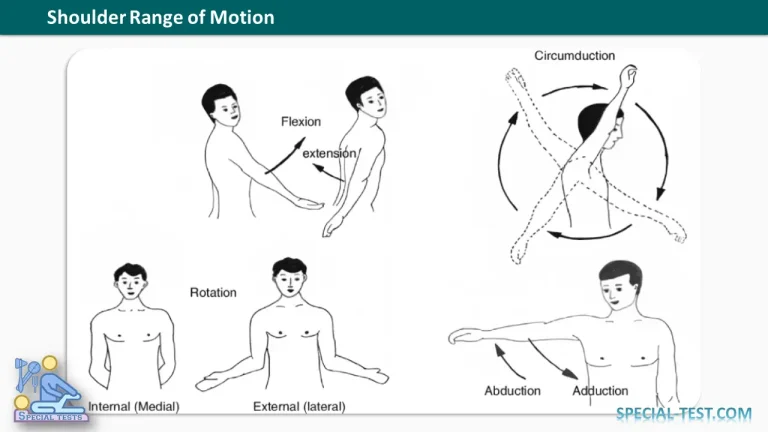 Range of motion testing for shoulder joint