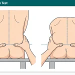 Seated Flexion Test
