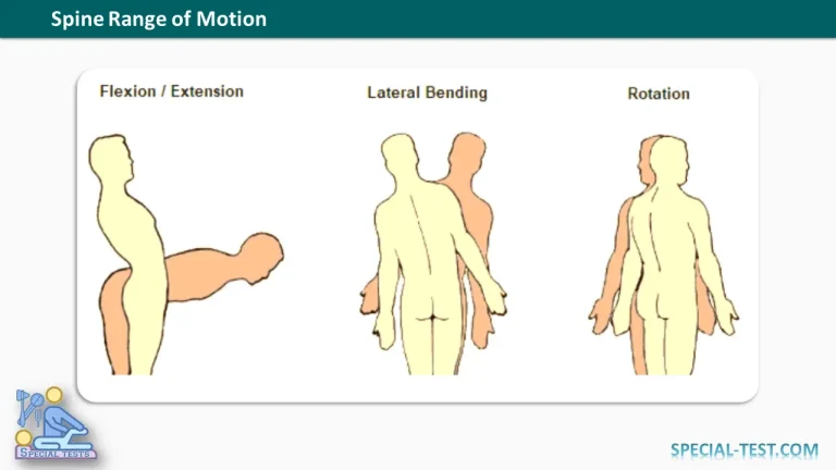Spine Range of Motion