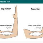 Supination Pronation Test