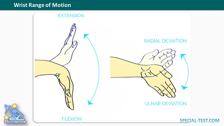 Wrist Range of Motion