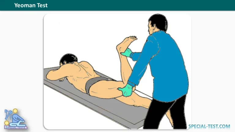 Yeoman Test