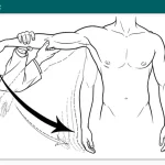 Drop Arm Test – Drop Sign