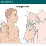 Shoulder Load and Shift
